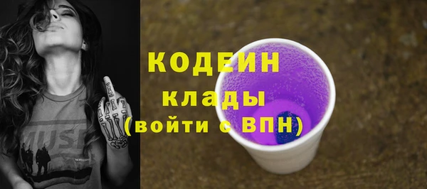 хмурый Арсеньев