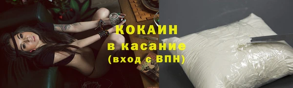 гашик Аркадак